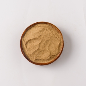 Seasoning Mix